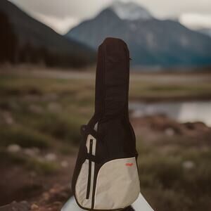 Stagg Padded Guitar Case With Back Carry Straps backpack Nice!